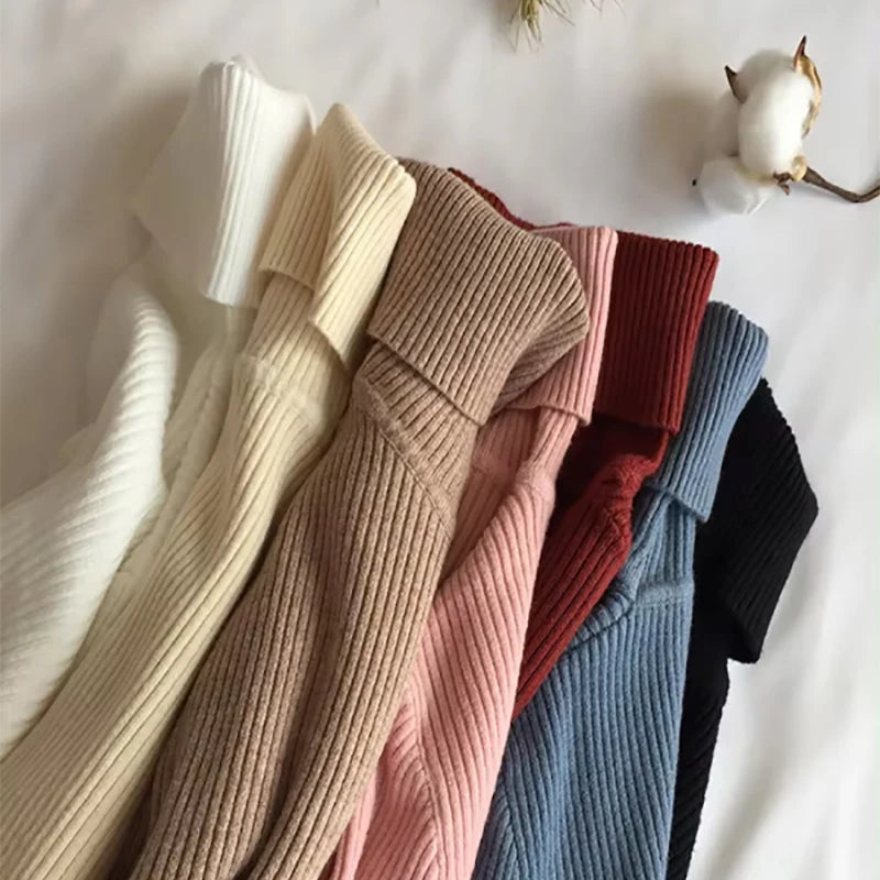 Soft Warm Ribbed Turtleneck Sweater for Women
