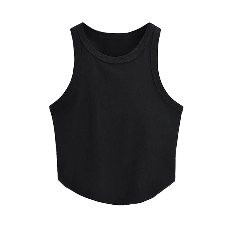 Knitted Crop Top Round Neck