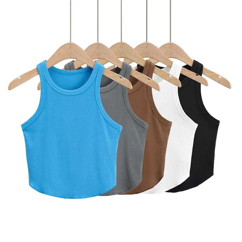 Knitted Crop Top Round Neck